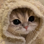 VSKolesnikov's avatar